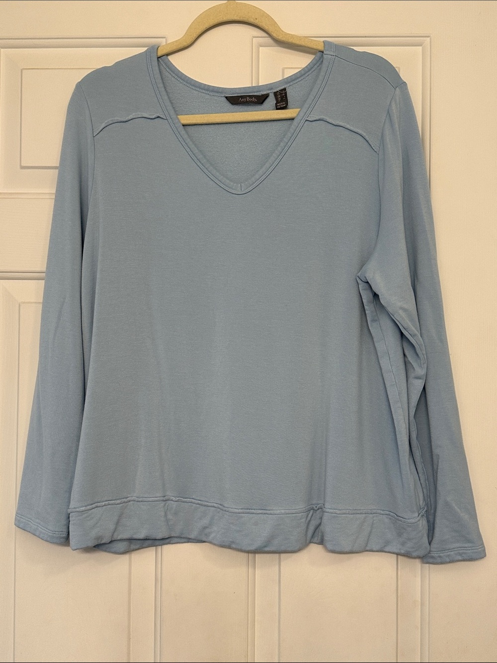 AnyBody Light Blue V-Neck Long Sleeve Sweatshirt